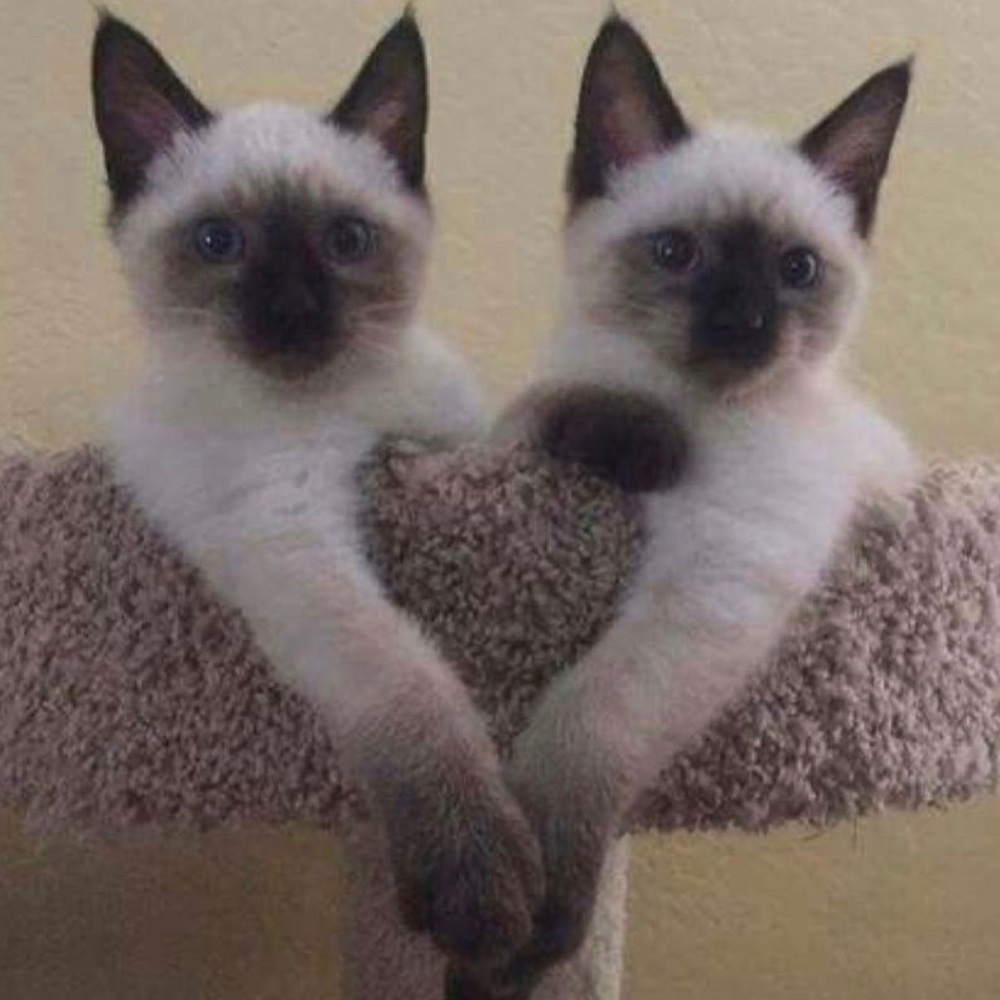 Hi!